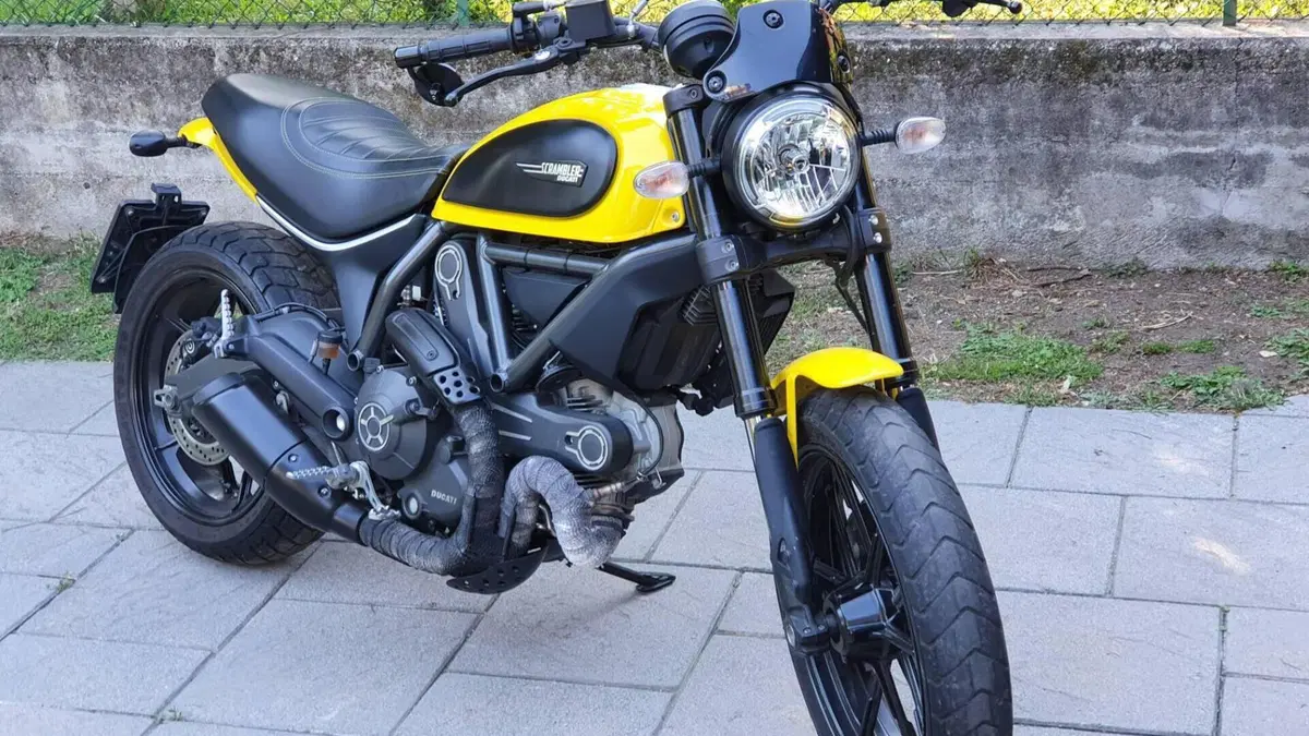Ducati Scrambler 800 Icon (2015 - 16)  (2)