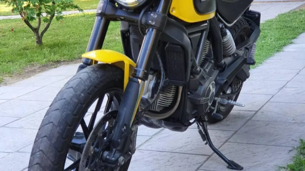 Ducati Scrambler 800 Icon (2015 - 16)  (3)