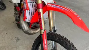 Betamotor RR 300 2T Enduro (2013)  (2)