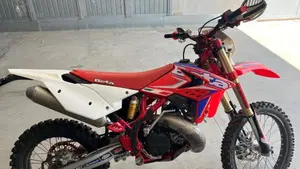 Betamotor RR 300 2T Enduro (2013)  (4)