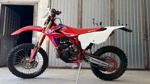 Betamotor RR 300 2T Enduro (2013)  (6)