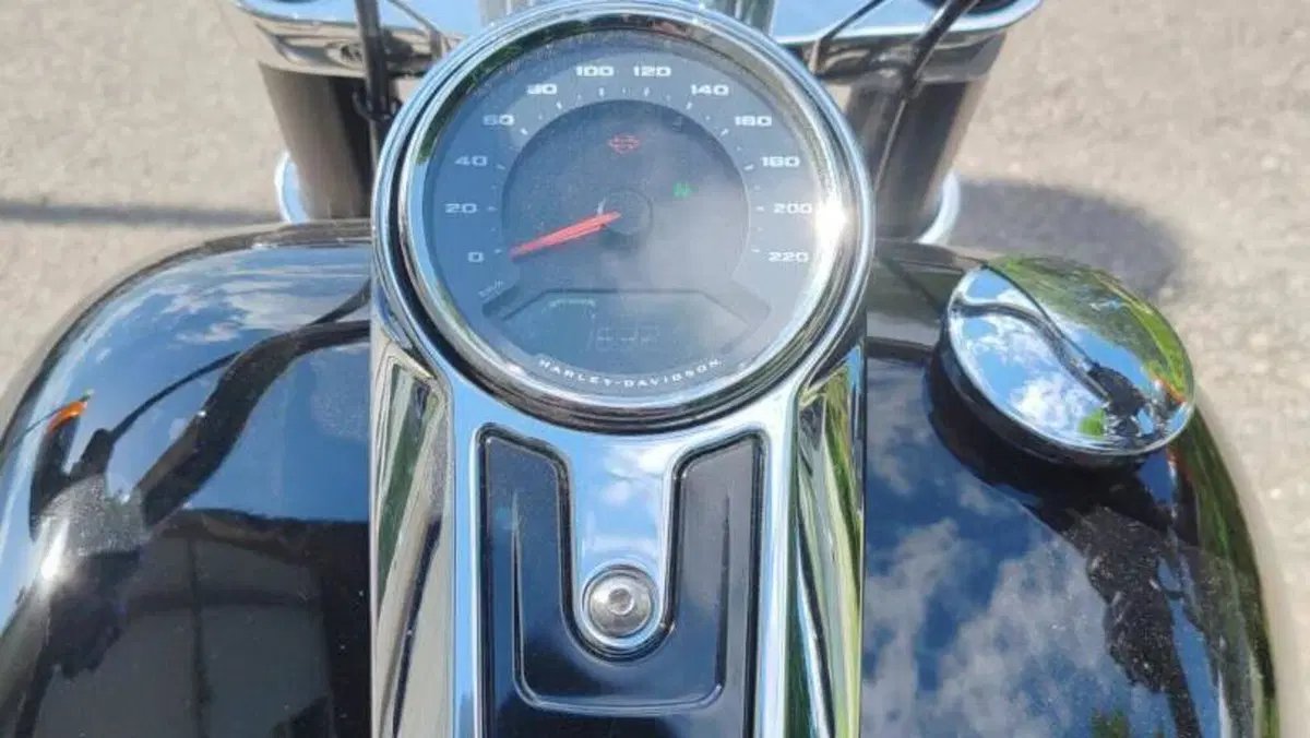 Harley-Davidson Sport Glide (2021 - 25)  (2)