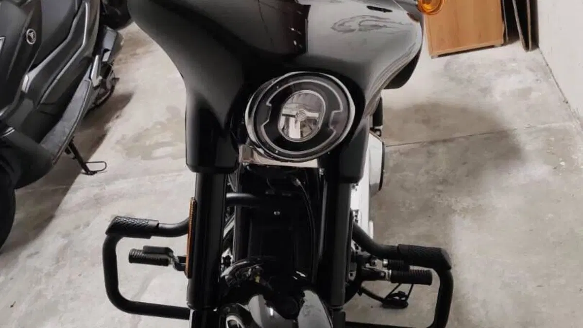 Harley-Davidson Sport Glide (2021 - 25)  (4)