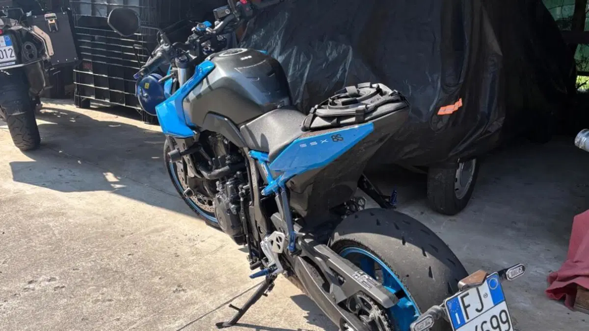 Suzuki GSX-8S (2023 - 24)  (2)