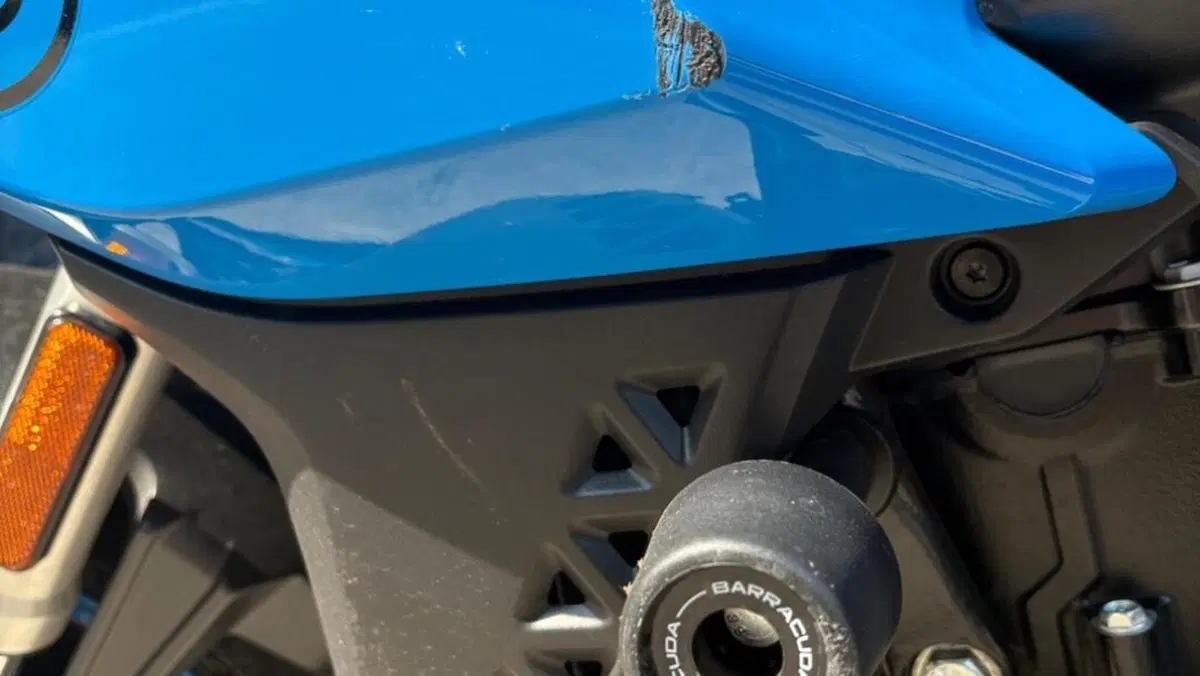 Suzuki GSX-8S (2023 - 24)  (6)