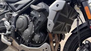 Triumph Trident 660 (2021 - 24)  (8)