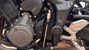 Triumph Trident 660 (2021 - 24)  (9)