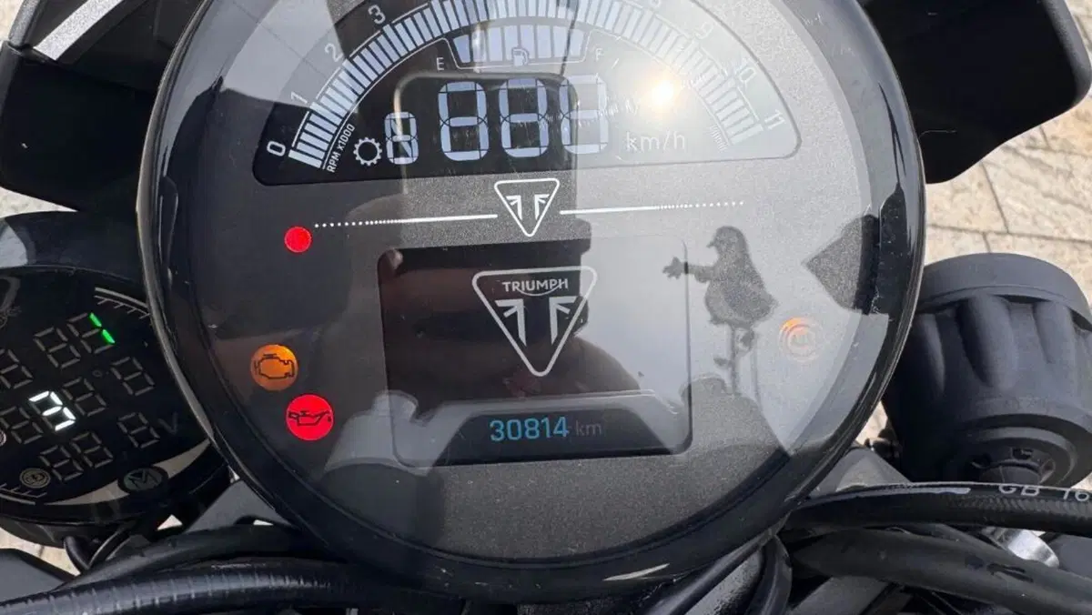 Triumph Trident 660 (2021 - 24)  (11)