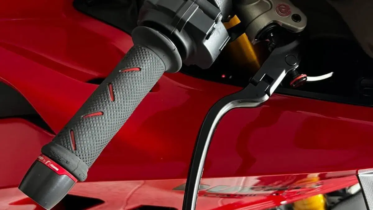 Ducati Panigale V4 S (2022 - 24)  (5)