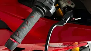 Ducati Panigale V4 S (2022 - 24)  (5)