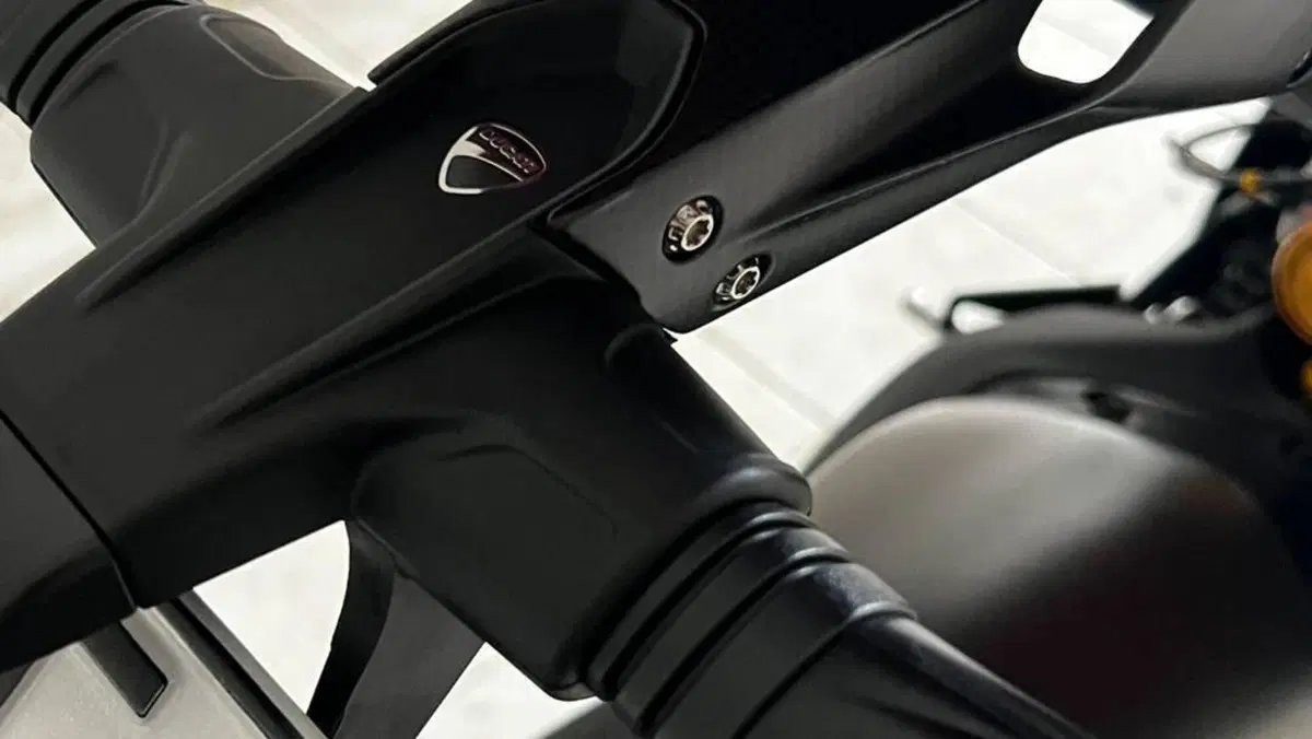 Ducati Panigale V4 S (2022 - 24)  (7)