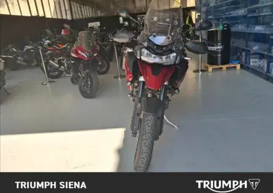 Triumph Tiger 1200 GT Pro (2024 - 26) - Annuncio 10080959