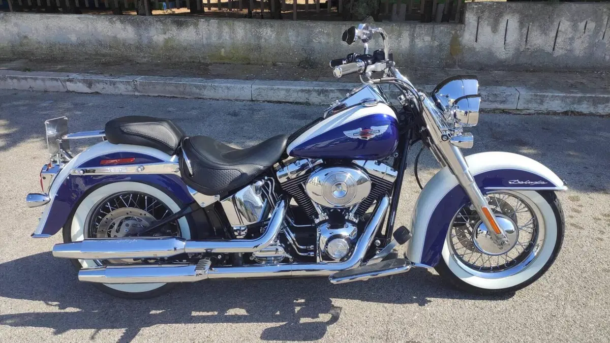Harley-Davidson 1450 Deluxe (2005 - 06) - FLSTNI 
