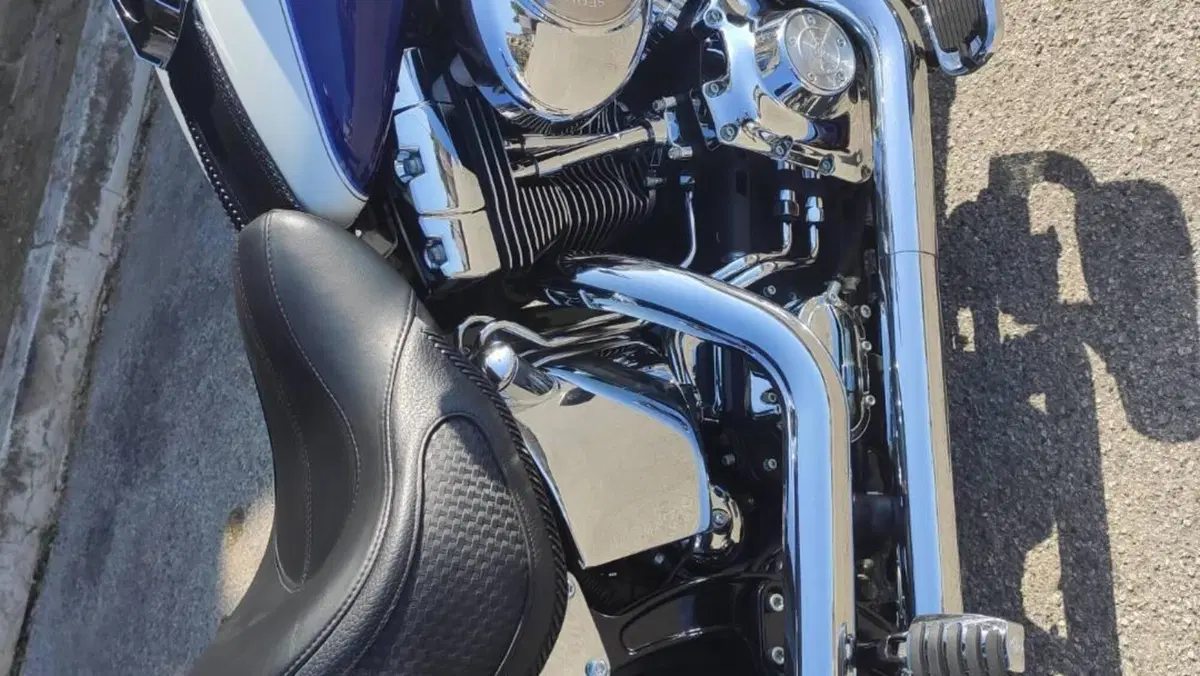 Harley-Davidson 1450 Deluxe (2005 - 06) - FLSTNI  (6)