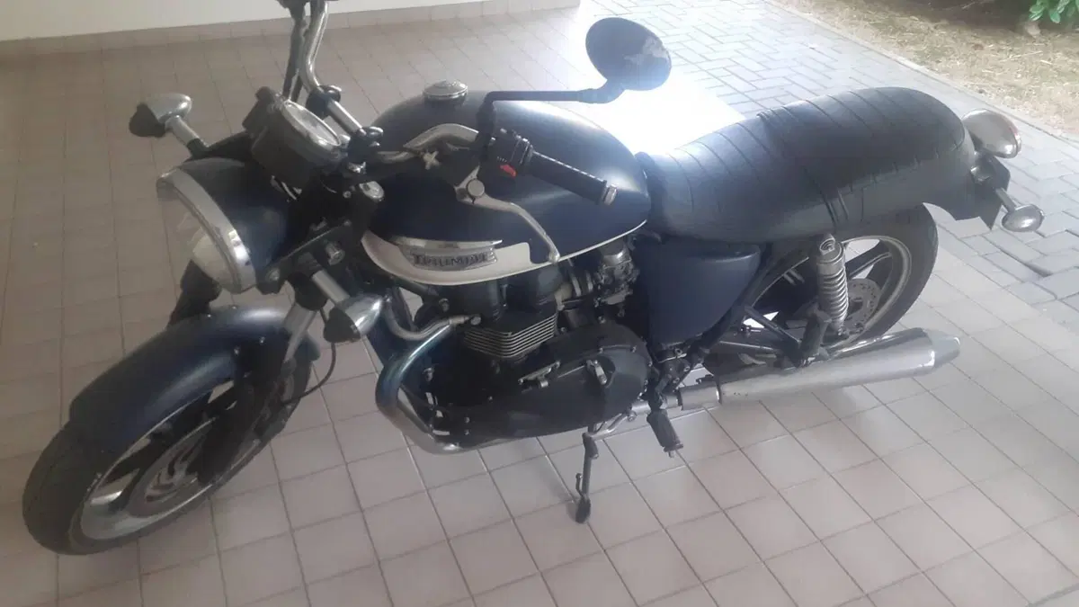Triumph Bonneville SE (2009 - 13)  (7)
