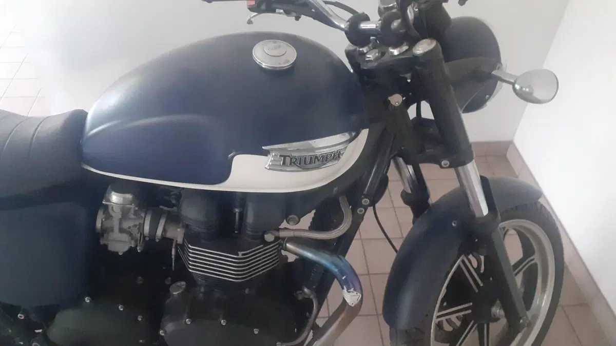 Triumph Bonneville SE (2009 - 13)  (8)