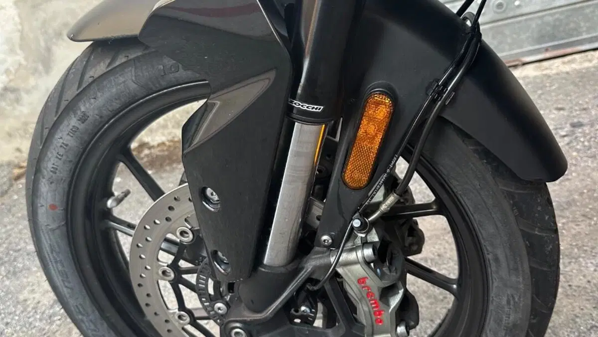 Triumph Tiger 900 GT Pro (2020 - 23)  (14)