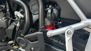 Triumph Tiger 900 GT Pro (2020 - 23)  (15)