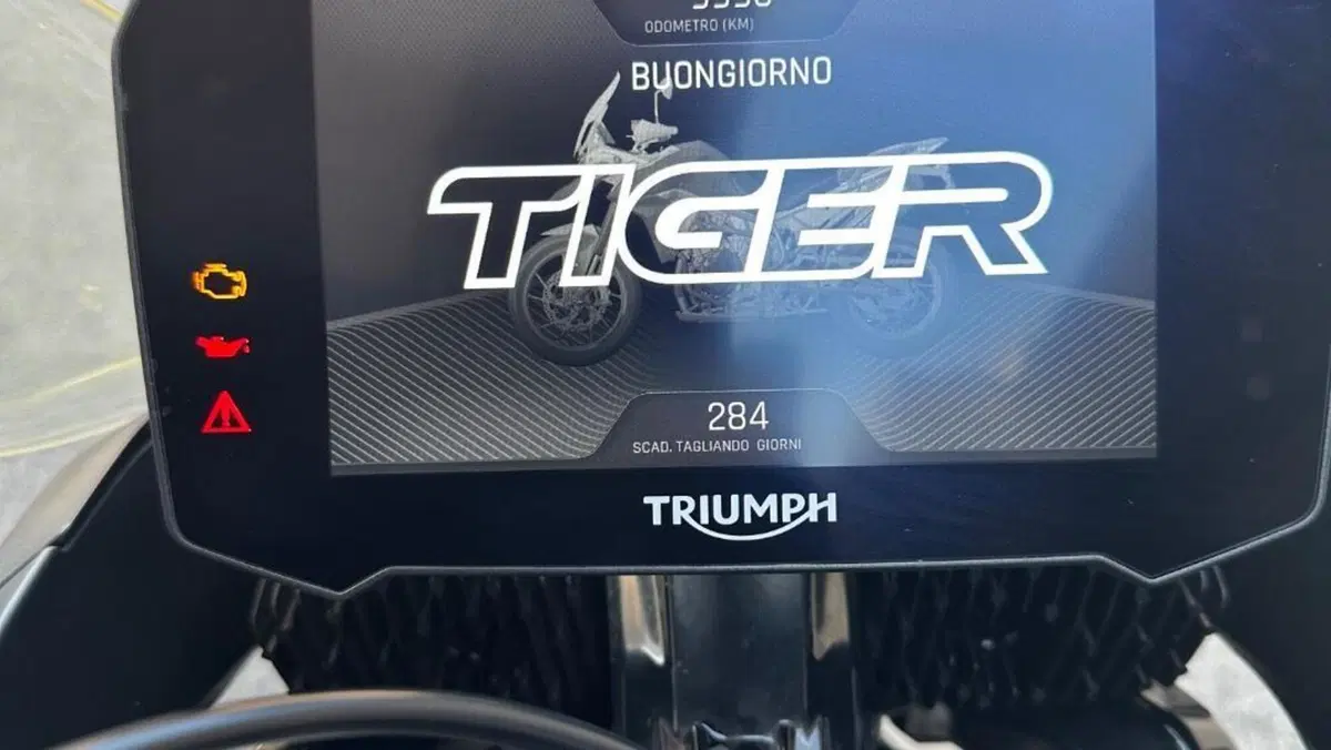 Triumph Tiger 900 GT Pro (2020 - 23)  (9)