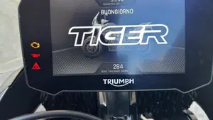 Triumph Tiger 900 GT Pro (2020 - 23)  (9)