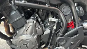 Triumph Tiger 900 GT Pro (2020 - 23)  (10)
