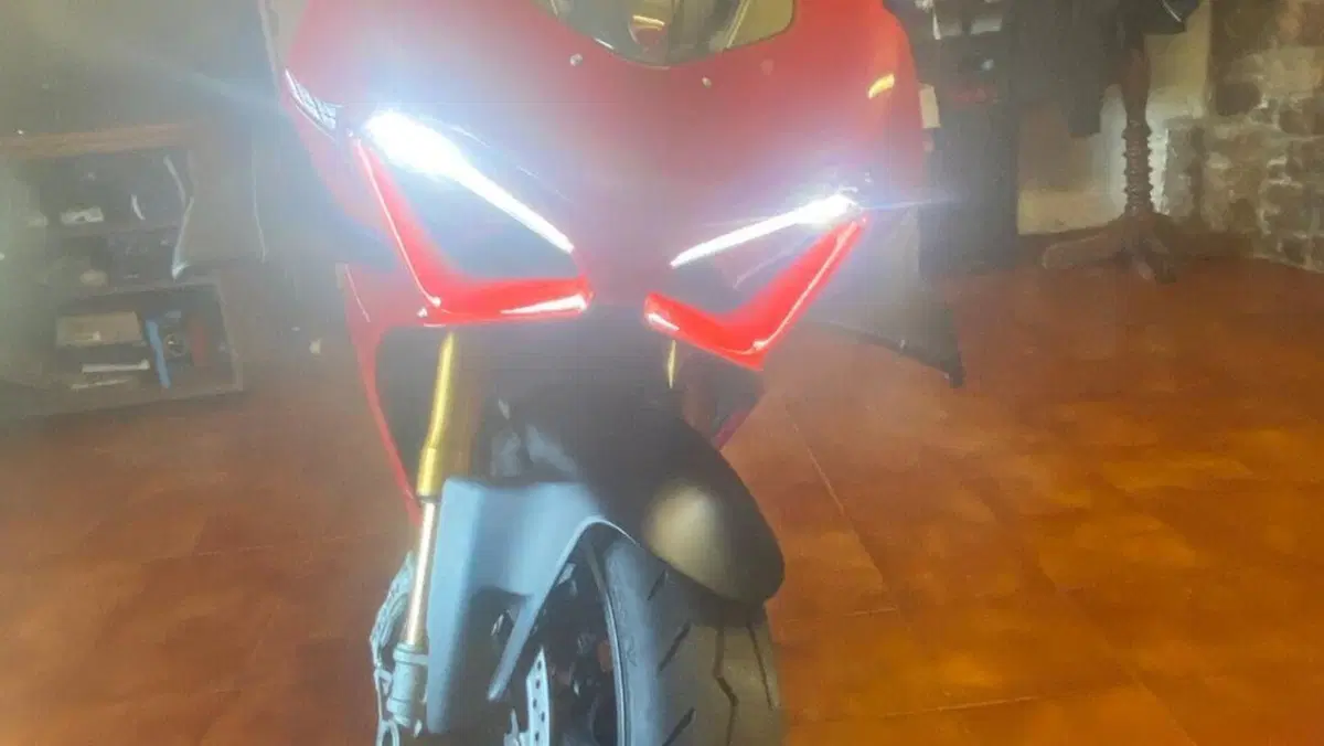 Ducati Panigale V4 S 1100 (2021)  (14)