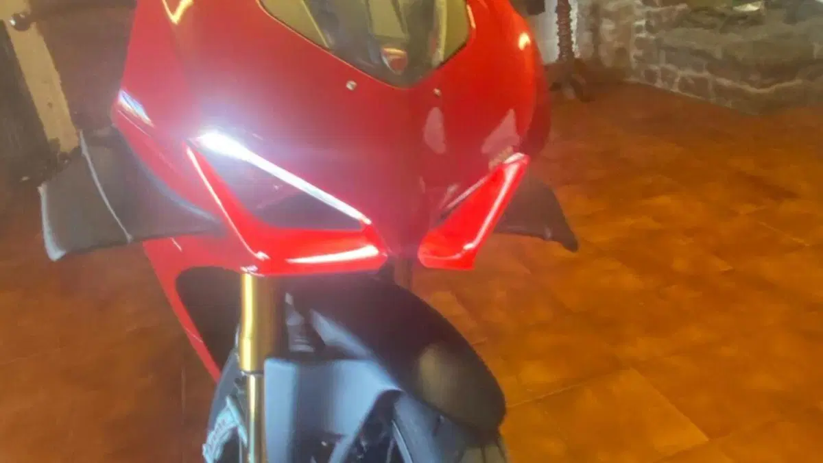Ducati Panigale V4 S 1100 (2021)  (15)