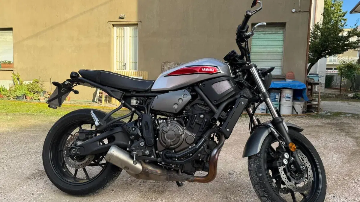Yamaha XSR 700 XTribute (2019 - 20)  (2)