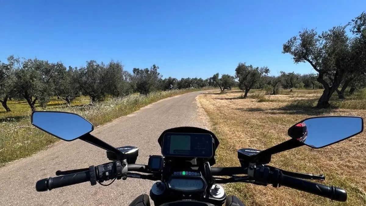 Ducati Diavel 1200 Carbon (2014 - 16)  (10)