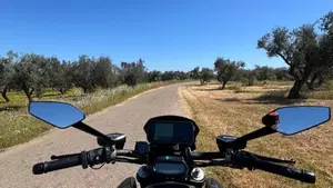 Ducati Diavel 1200 Carbon (2014 - 16)  (10)