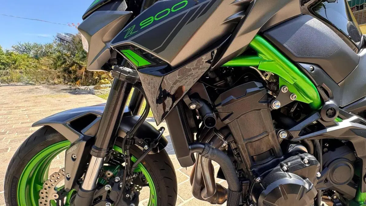 Kawasaki Z 900 (2021 - 24)  (13)