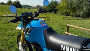 Yamaha   (5)