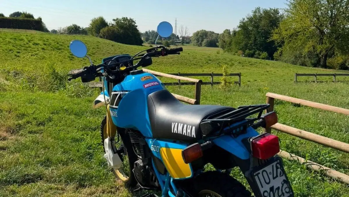 Yamaha   (6)