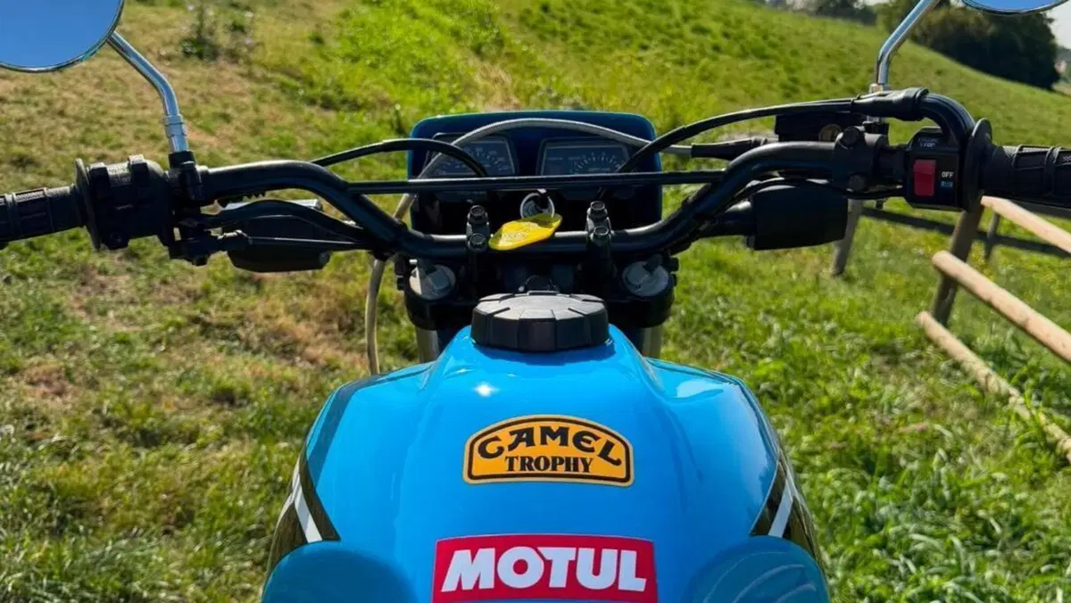 Yamaha   (10)