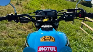 Yamaha   (10)