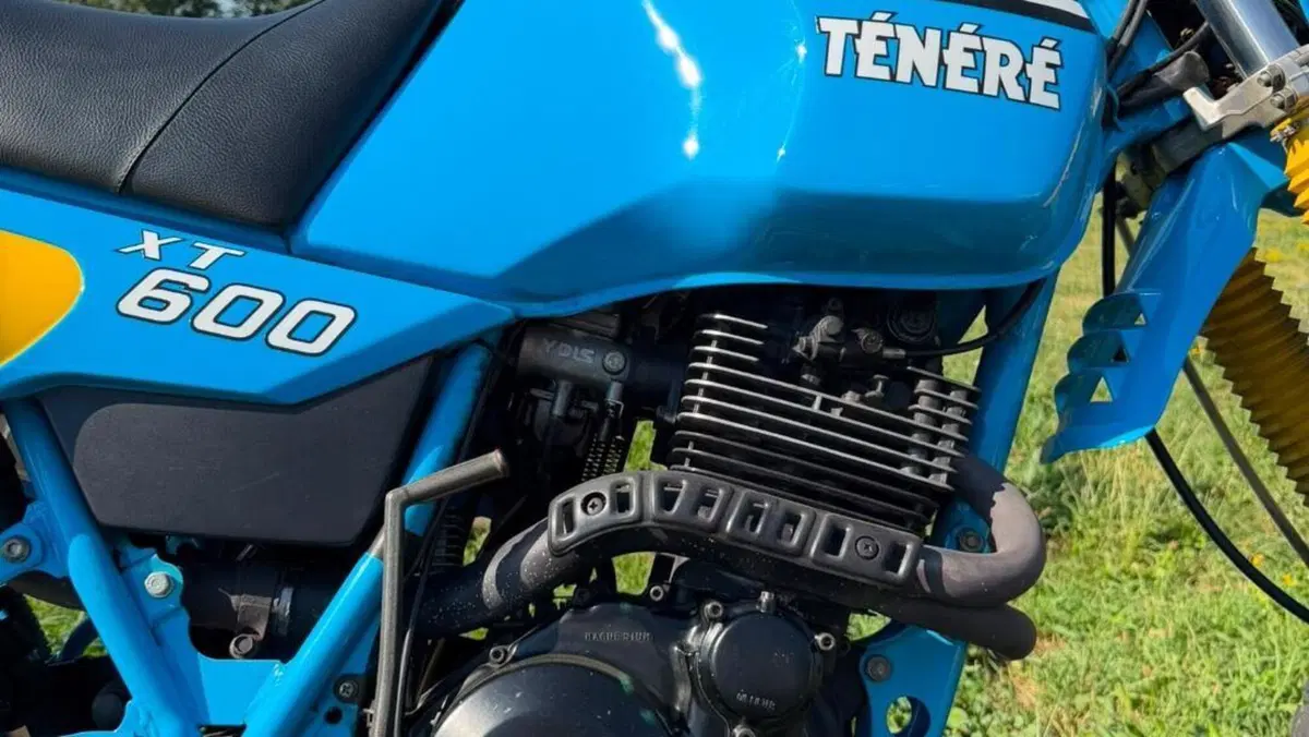 Yamaha   (12)