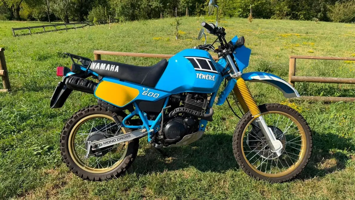 Yamaha   (13)