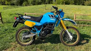 Yamaha   (13)