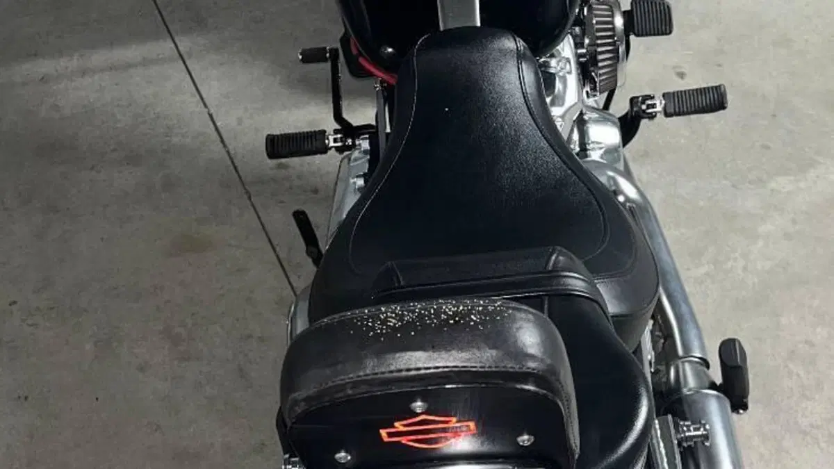 Harley-Davidson 114 Fat Boy (2018 - 20) - FLFBS  (10)