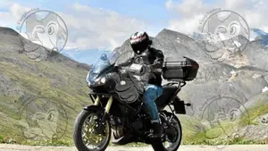 Triumph Tiger 1050 ABS (2006 - 12)  (2)
