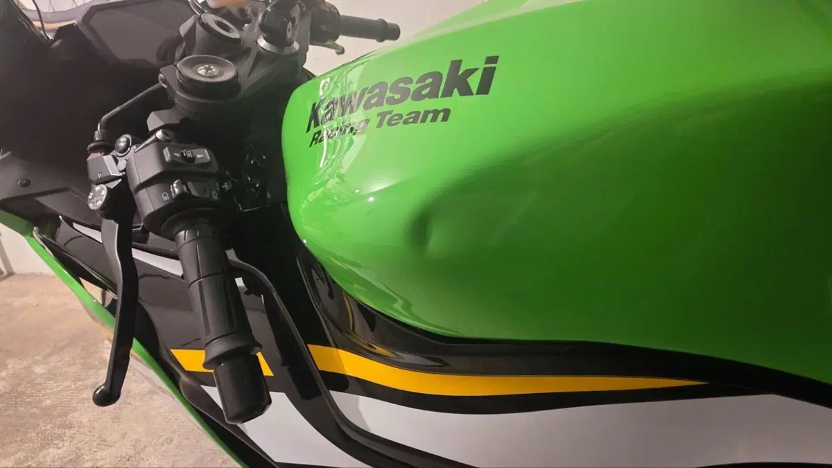 Kawasaki Ninja 636 ZX-6R (2024 - 26)  (4)