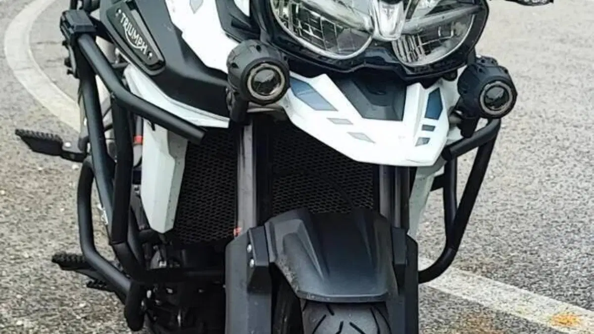 Triumph Tiger 1200 Alpine Edition (2020)  (2)