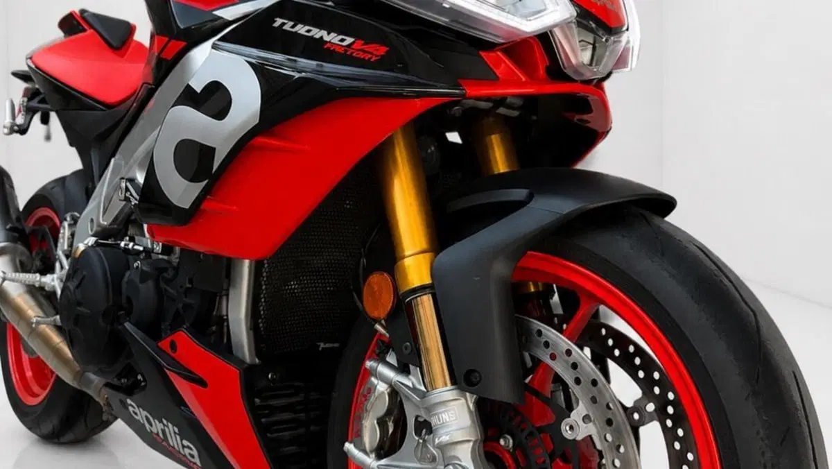Aprilia Tuono V4 Factory (2021 - 24)  (4)