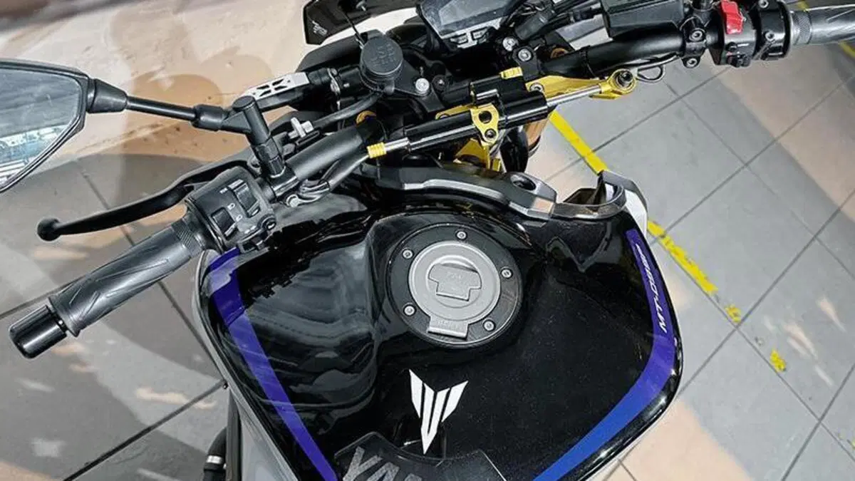 Yamaha MT-09 (2017 - 20)  (4)