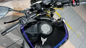 Yamaha MT-09 (2017 - 20)  (4)