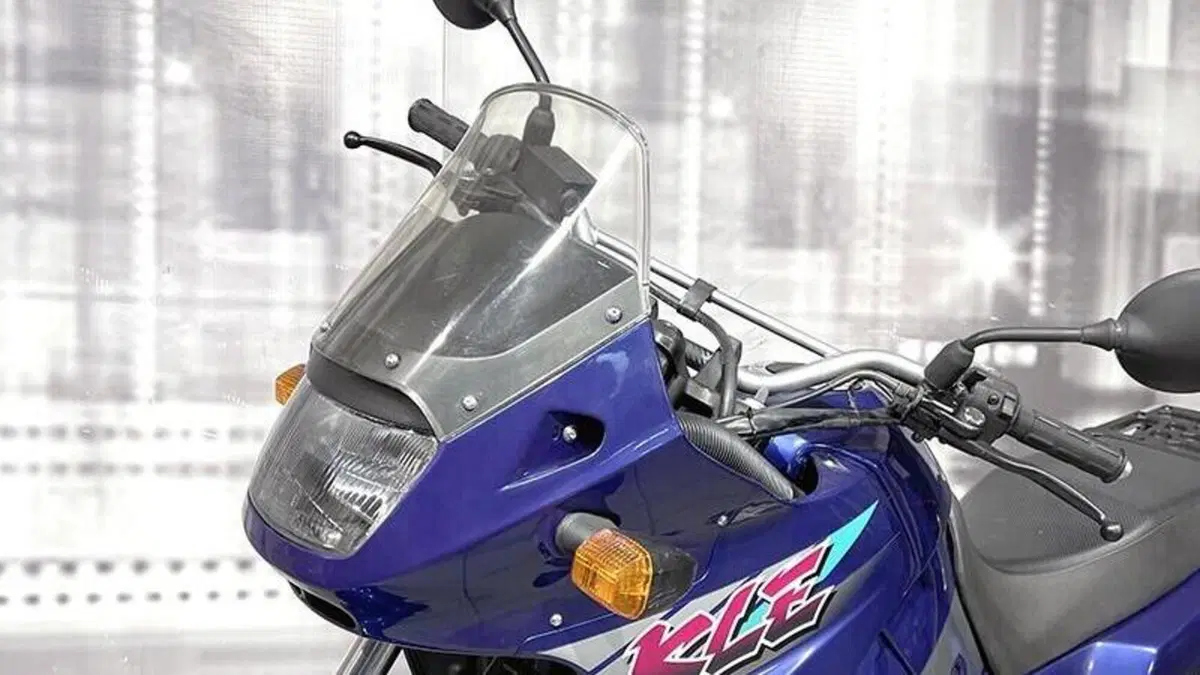 Kawasaki KLE 500 (1991 - 00)  (5)
