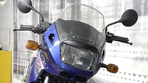 Kawasaki KLE 500 (1991 - 00)  (9)