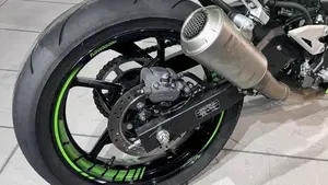 Kawasaki Ninja 500 SE (2024 - 26)  (3)