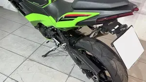 Kawasaki Ninja 500 SE (2024 - 26)  (4)
