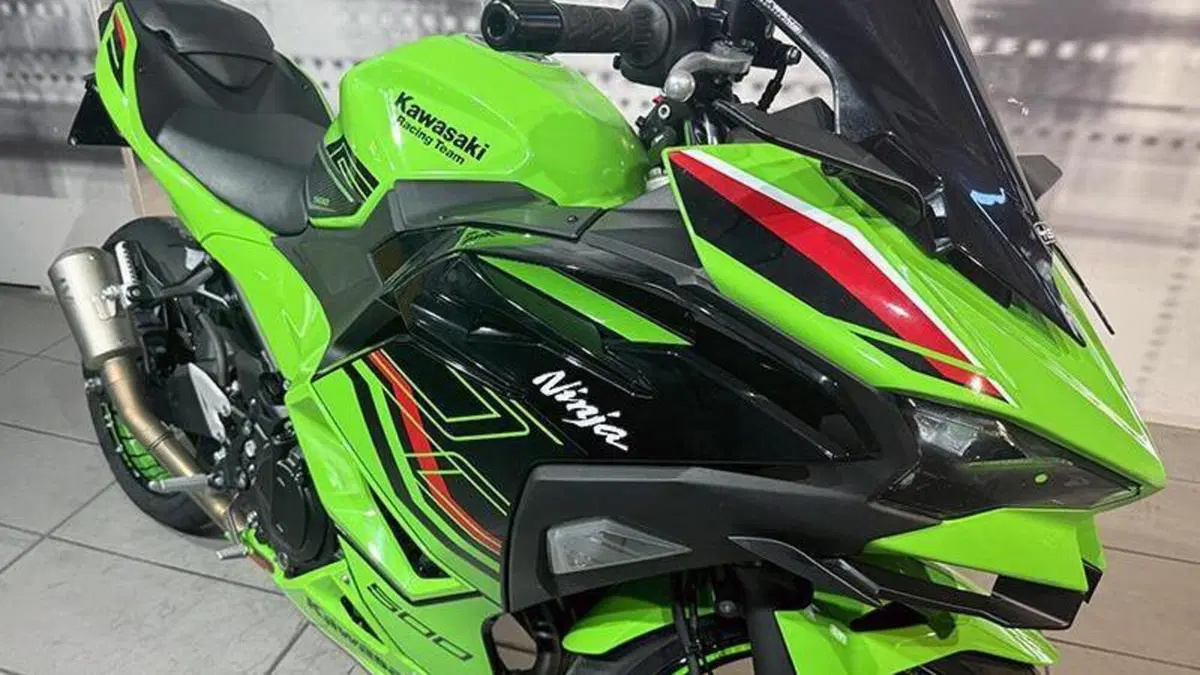 Kawasaki Ninja 500 SE (2024 - 26)  (8)